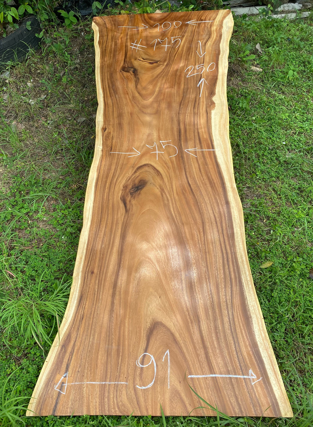 Slab (98") bois de Suar Live Edge