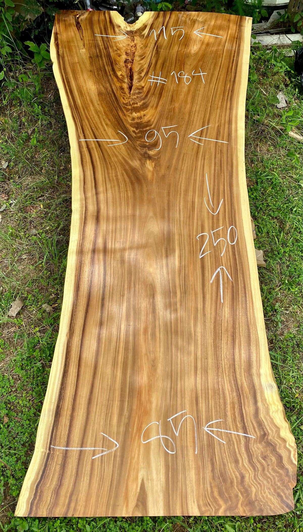 Slab (98") Suar Wood Live Edge
