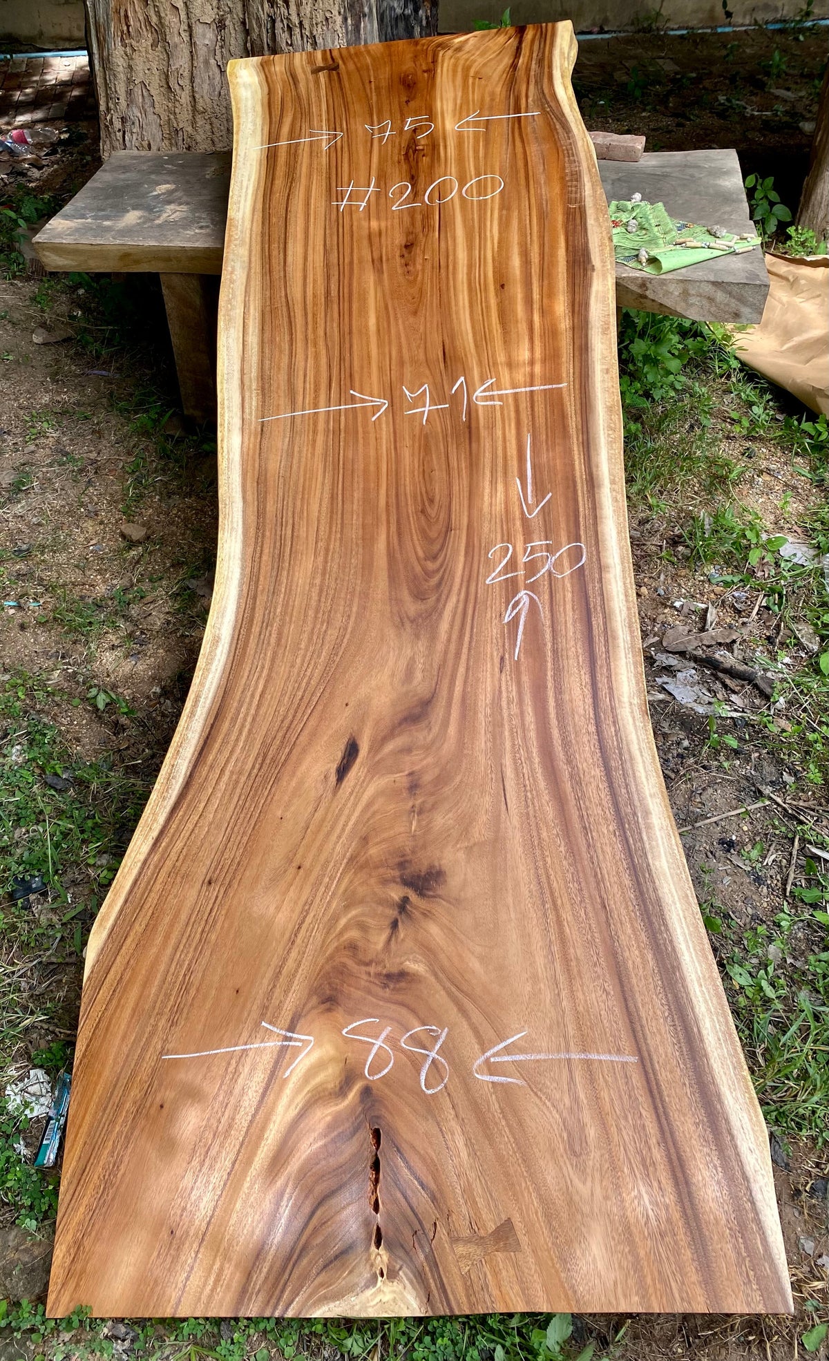 Slab (98") Suar Wood Live Edge