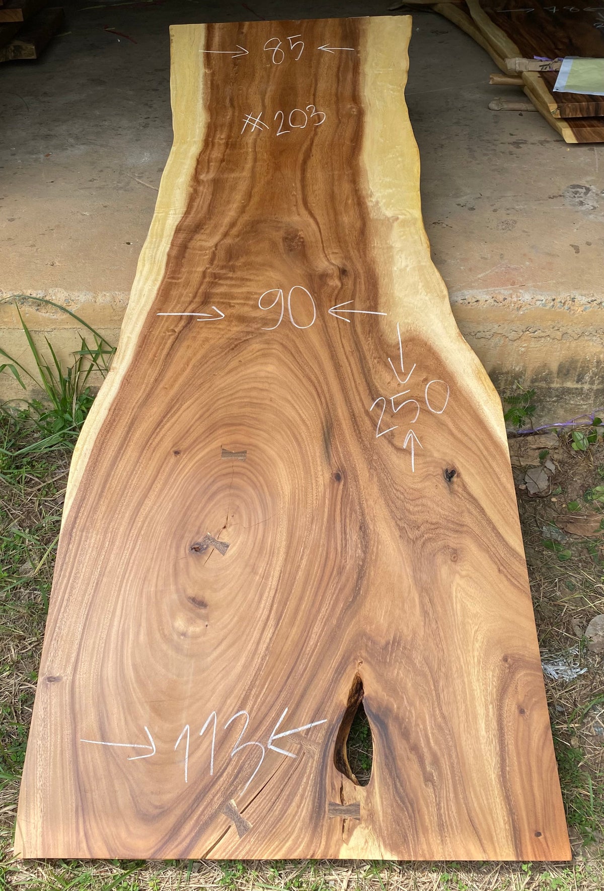 Slab (98") Suar Wood Live Edge