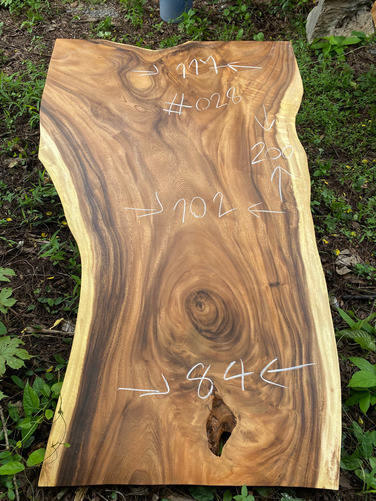 Suar Wood Live Edge Slab (75")