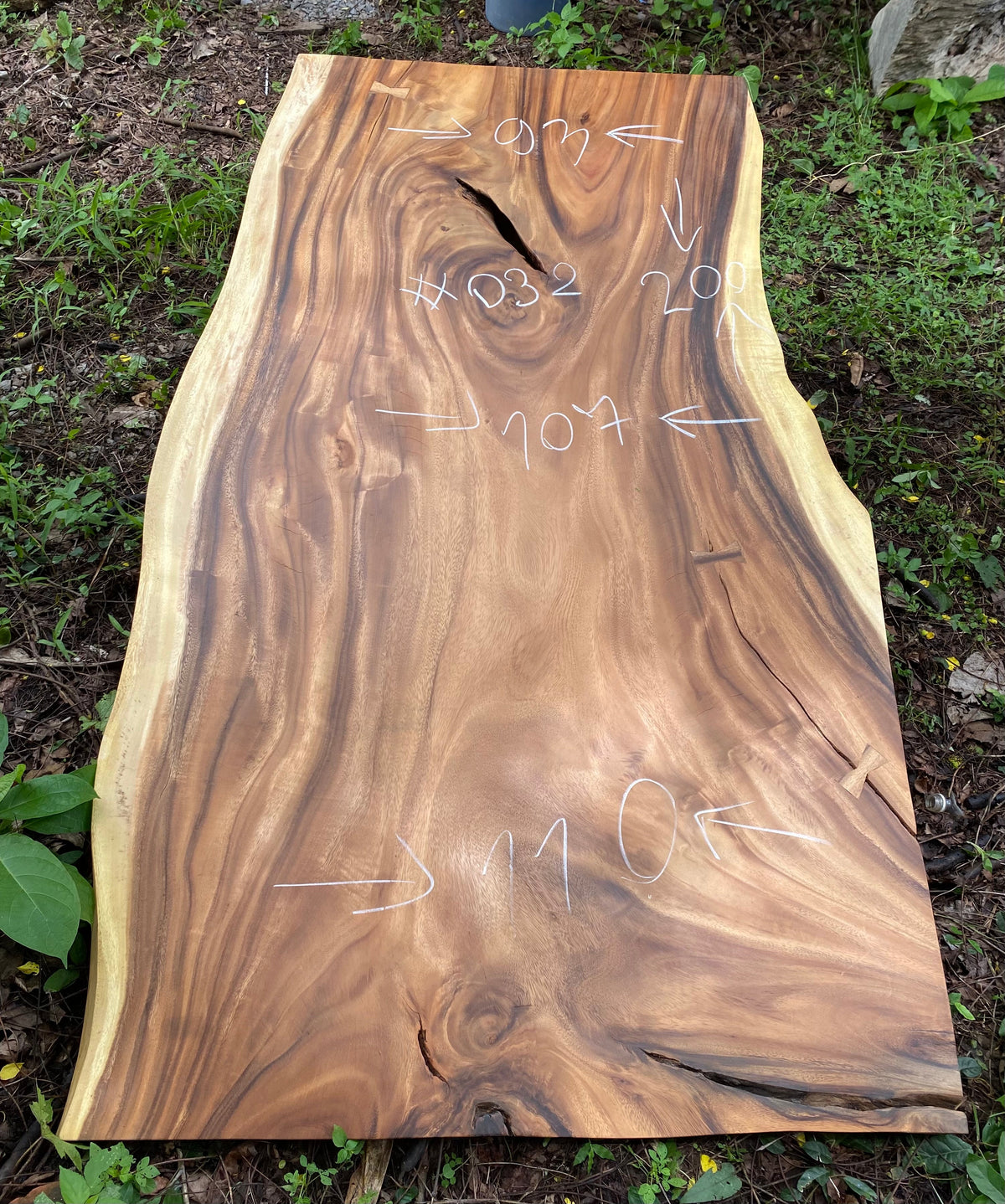 Suar Wood Live Edge Slab (75")