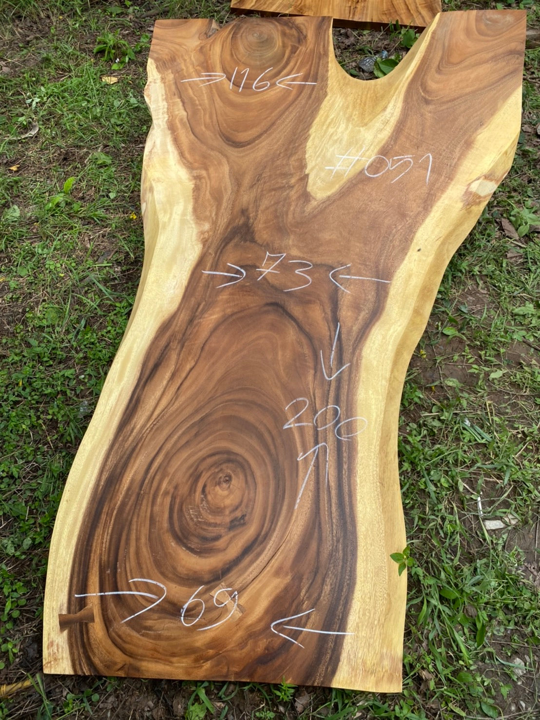 Suar Wood Live Edge Slab (75")