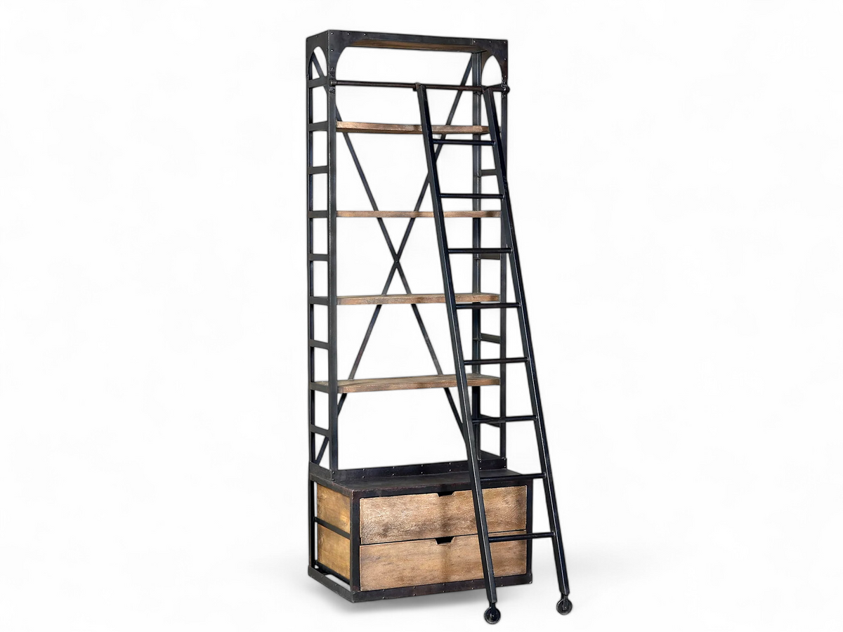 Asa Bookcase with Ladder