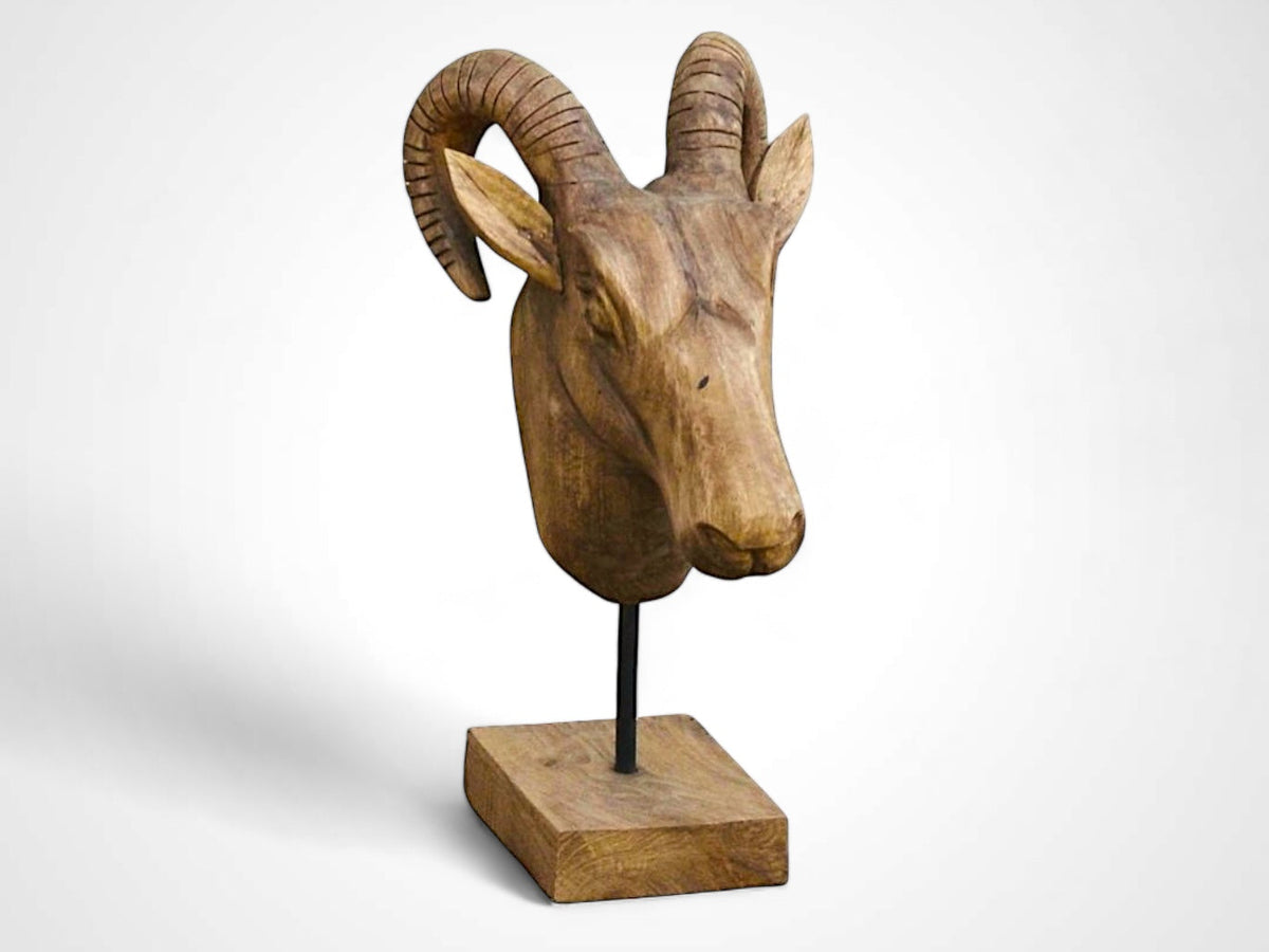 Mouflon Head